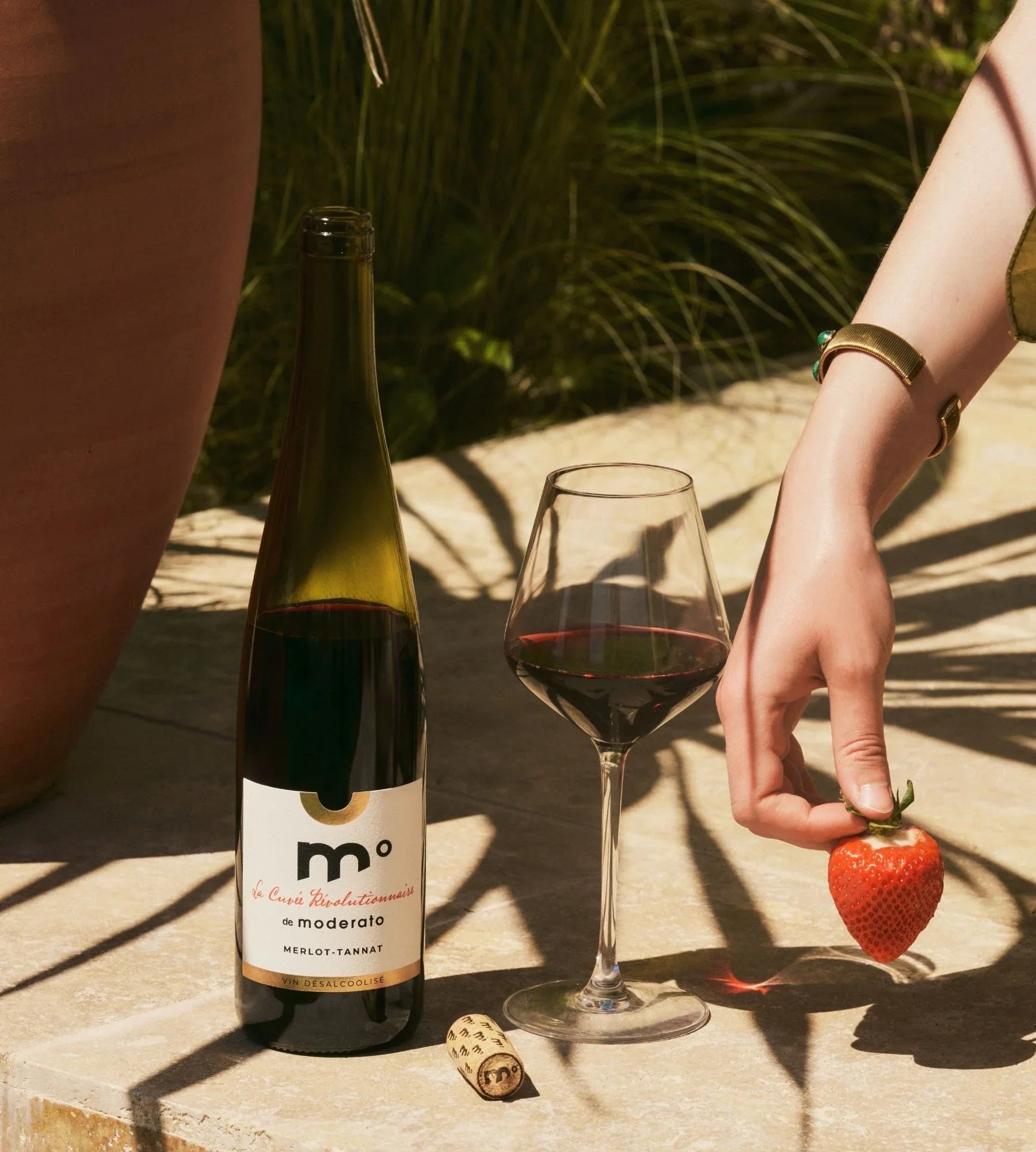 Moderato Merlot-Tannat NV