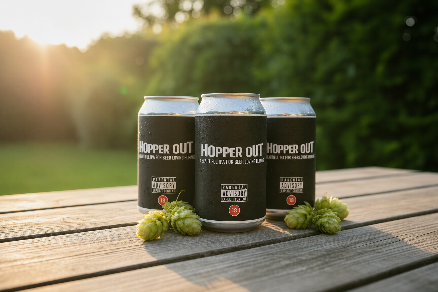 Hopper Out (4.2% ABV Session IPA) 12-Pack