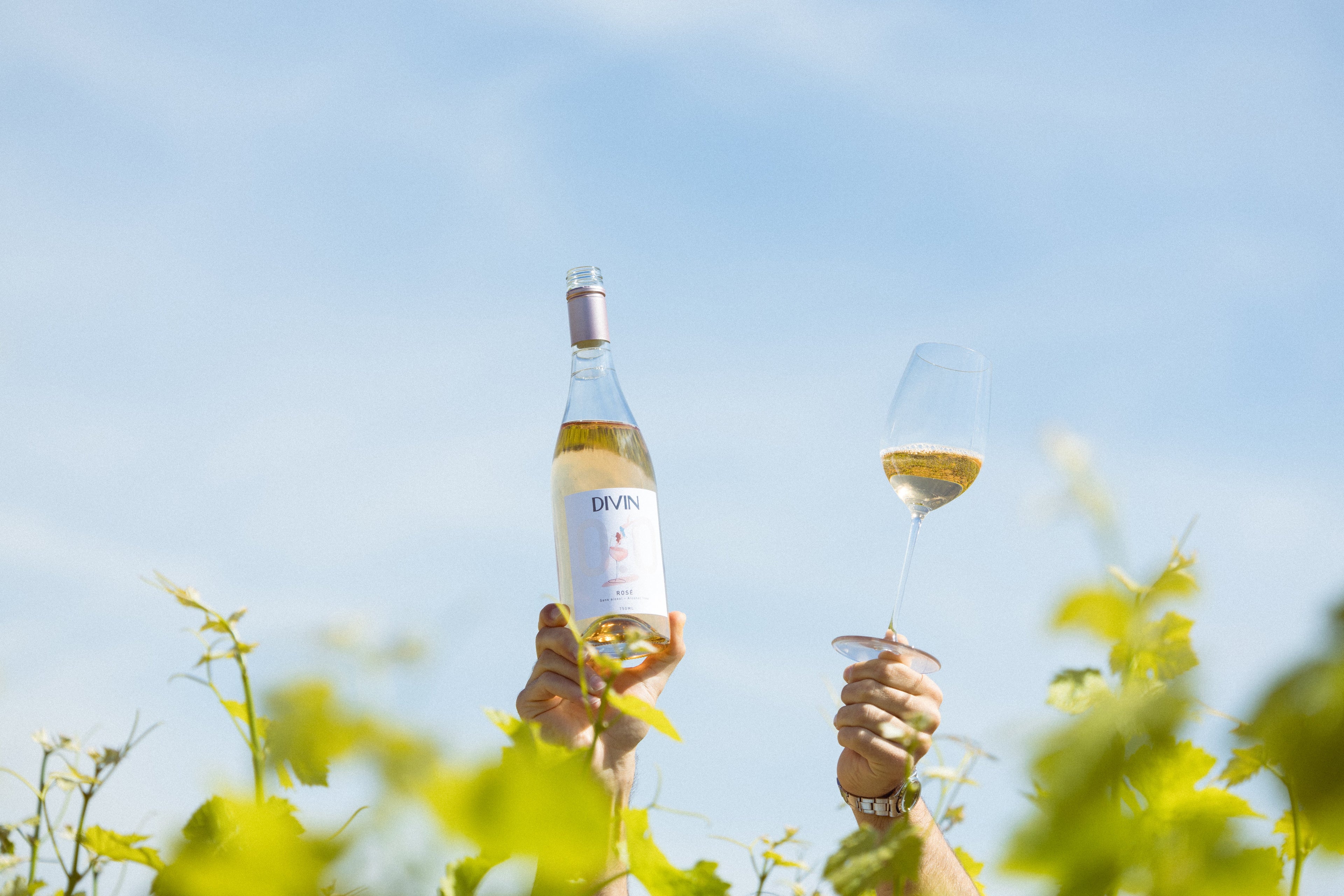 DIVIN Rosé