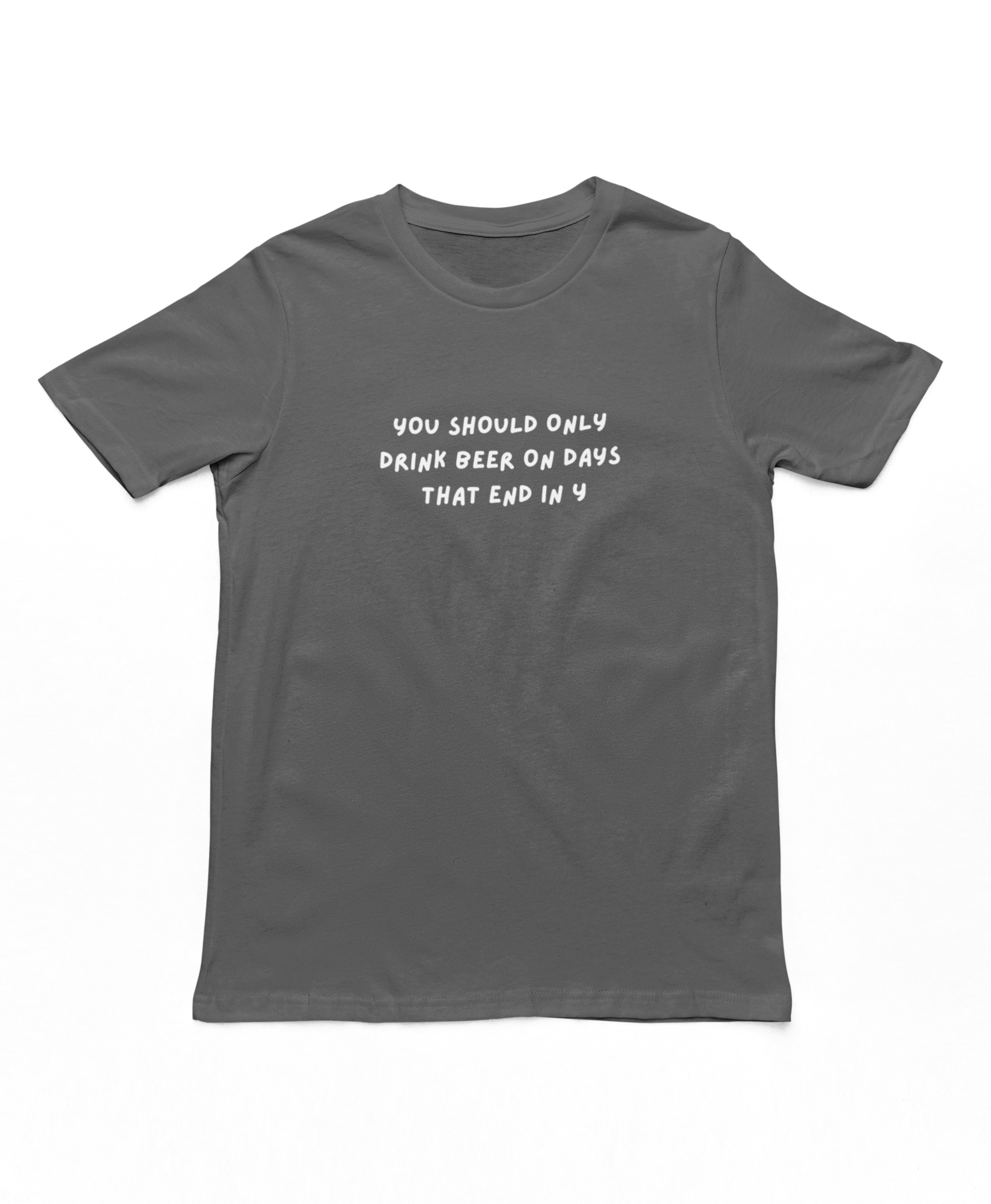 Drink Beer On Days That End In Y Adults T-Shirt